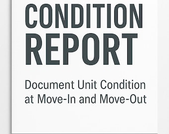 Move-In / Move-Out Condition Report