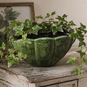 May include: A green ceramic planter with a textured finish, filled with soil and trailing ivy. The ivy has green leaves with white edges. A framed botanical print is in the background, resting on a distressed white wooden surface.