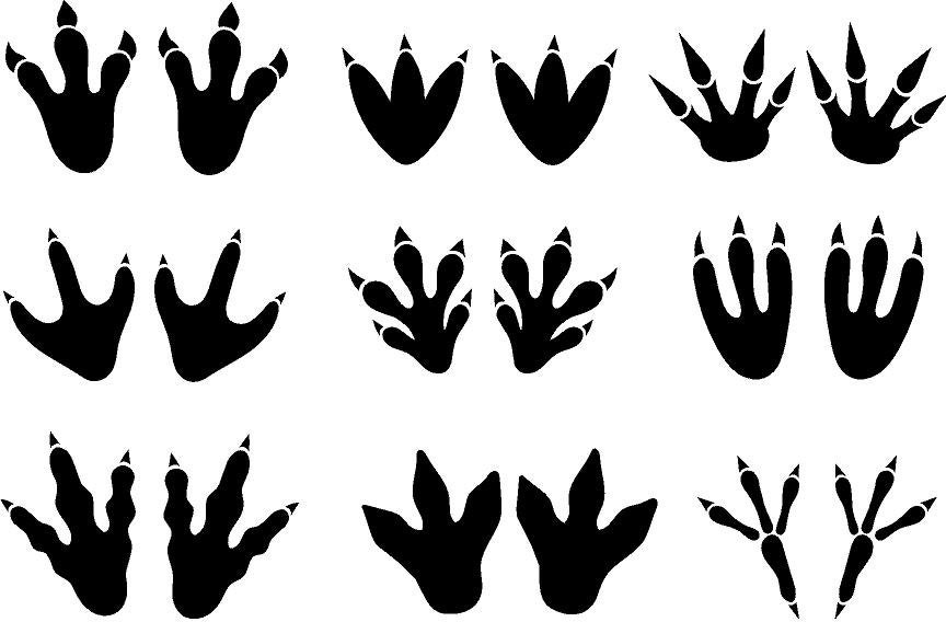 Dinosaur footprint wall Decals available in 3 sizes Peel & Etsy
