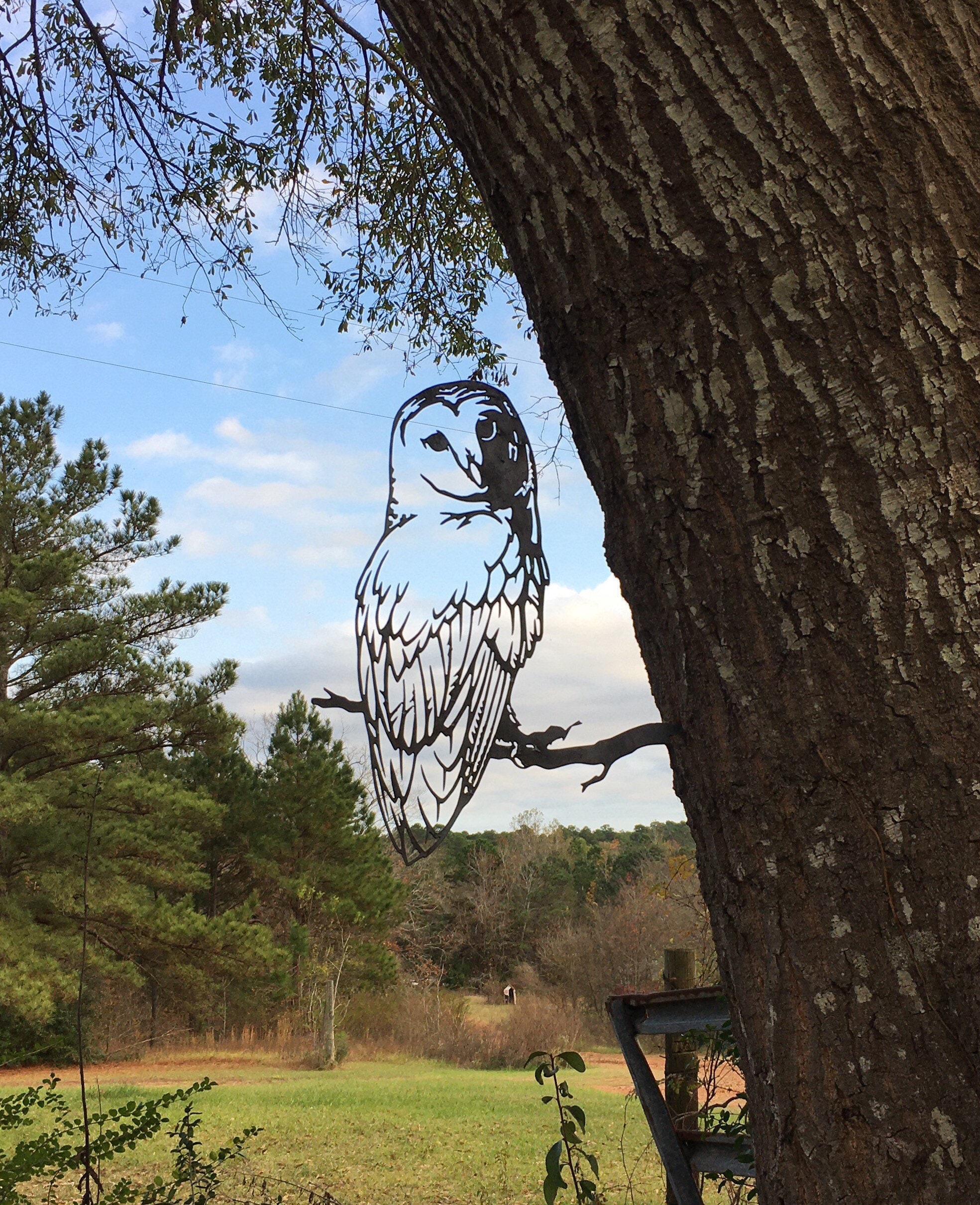 Metal Barn Owl Large Metal Owl Metal Bird Art Metal Owl in Etsy