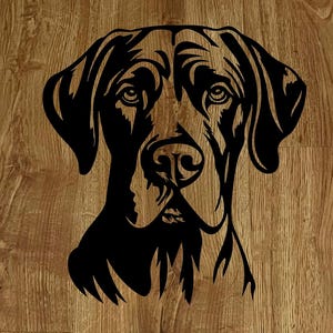 May include: Black and white silhouette of a dog's head, with a focus on the snout and eyes. The dog has floppy ears and a serious expression.