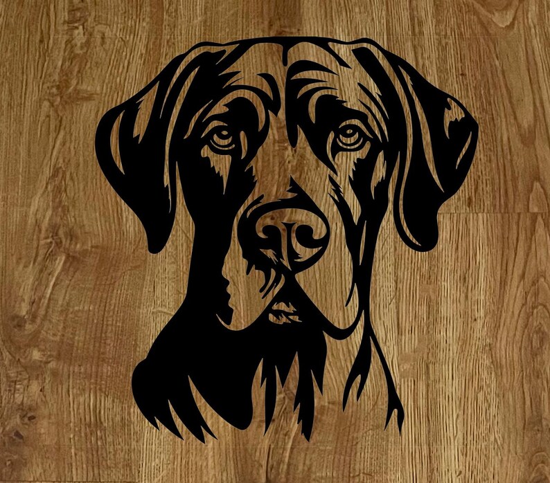 May include: Black and white silhouette of a dog's head, with a focus on the snout and eyes. The dog has floppy ears and a serious expression.