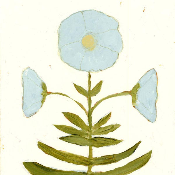 Jaipur Botanical en aciano