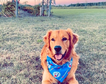 Toronto Blue Jays Dog Bandana: Reversible Cotton Pet Scarf