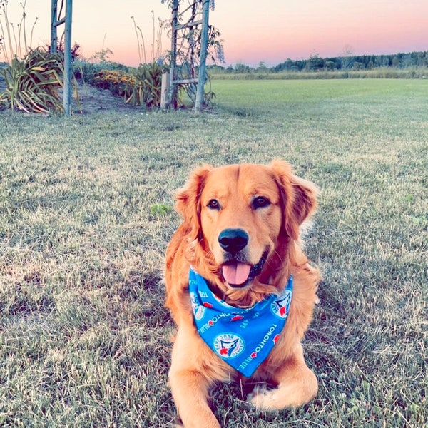 Dog Bandana/ Toronto Bluejays Dog Bandana/ Dog Scarf/ Reversible/ 100% Cotton/ Puppy Gift/ Gifts for Pets/ Snap Button