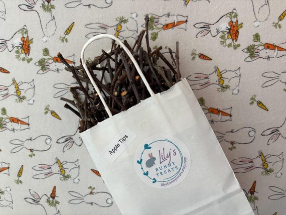 Apple Branch Tips: Natural Treat for Rabbits, Guinea Pigs, Hamsters