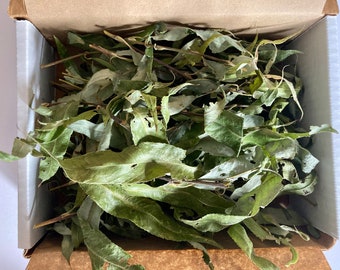 Dried Willow Leaves Box Size for Bunny Rabbit, Guinea Pig, Chinchilla, Hamster, Rat Treat