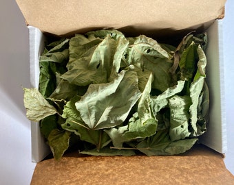 Chips de kudzu secos (tamaño caja) para conejos, cobayas, chinchillas, hámsteres y ratas.