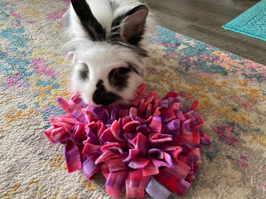 Bunny Snuffle Mat & Homemade Treats for Rabbit Foraging Mat Etsy