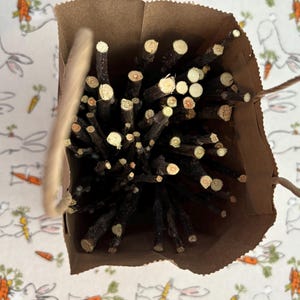 May include: A brown paper bag filled with a bundle of natural, dark brown sticks. The sticks are about 10 cm long and have a light brown center.