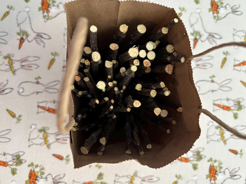 May include: A brown paper bag filled with a bundle of natural, dark brown sticks. The sticks are about 10 cm long and have a light brown center.
