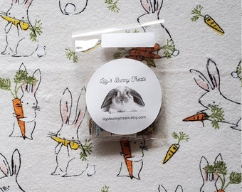 Homemade Pumpkin Bunny Treats: Oat & Carrot Pellet Snack