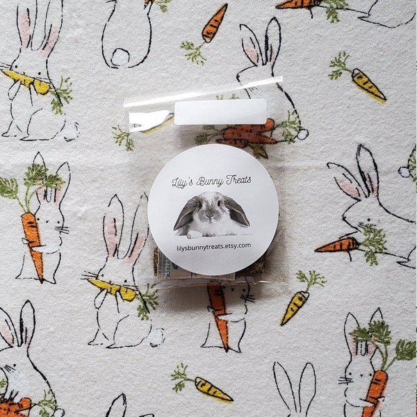 Homemade Pumpkin Bunny Treats, Rabbit Treats, Pumpkin Flavor, Pellet Based Bunny Snack