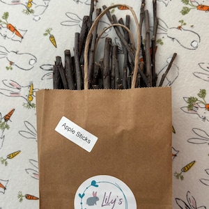 May include: A brown paper bag filled with apple sticks for small animals. The bag has a label that says "Apple Sticks" and a sticker with the text "Lily's Bunny Treats lilysbunnytreats.etsy.com".