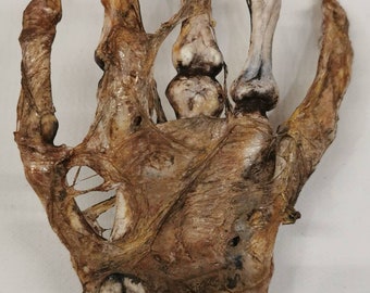 Silicone HORROR PROP severed male hand movie quality gore blood zombie dead Silicone HORROR PROP severed male hand movie quality gore blood zombie dead