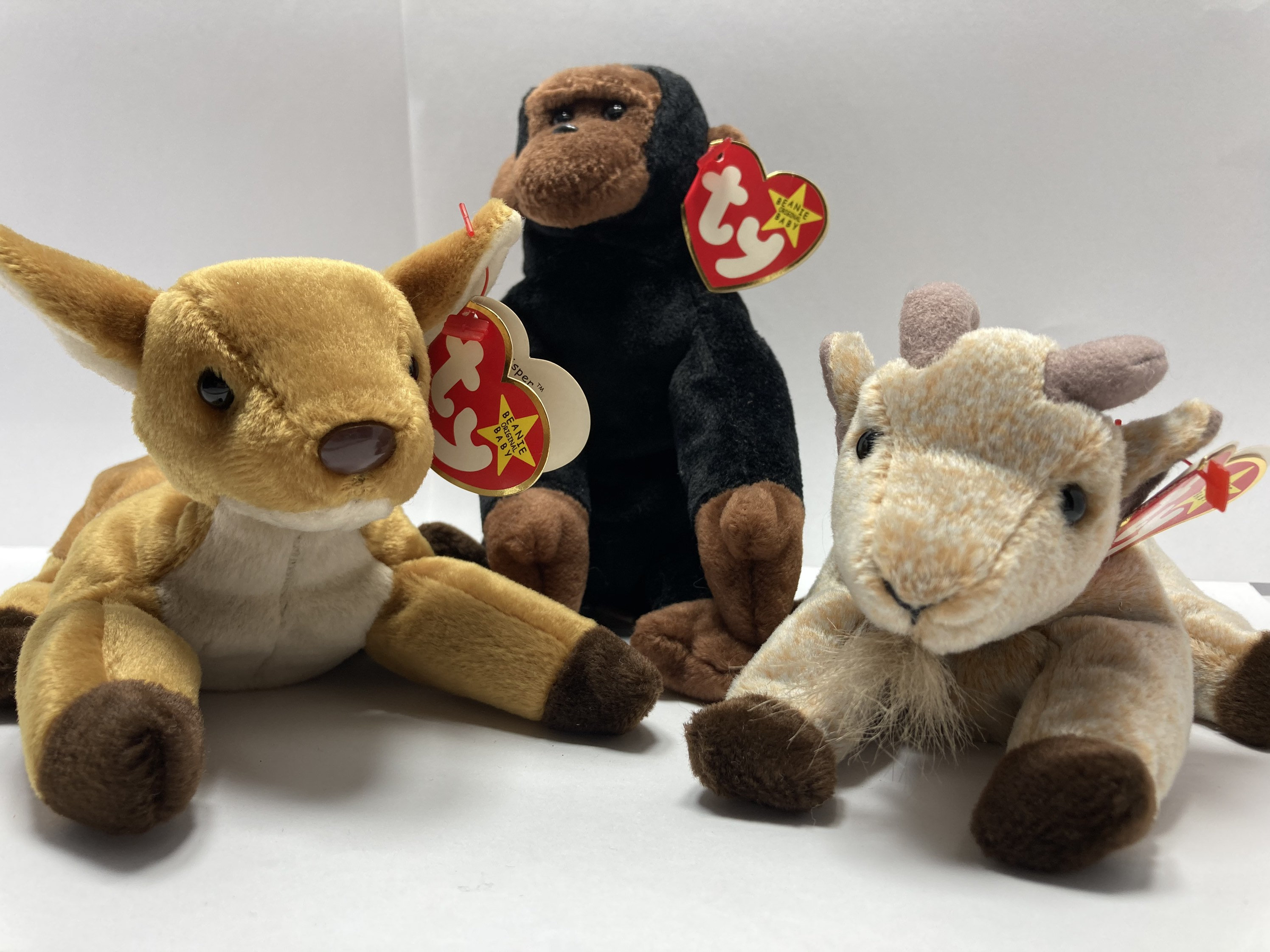 Ty Beanie Baby GOATEE WHISPER CONGO You Choose All Retired 5th Gen