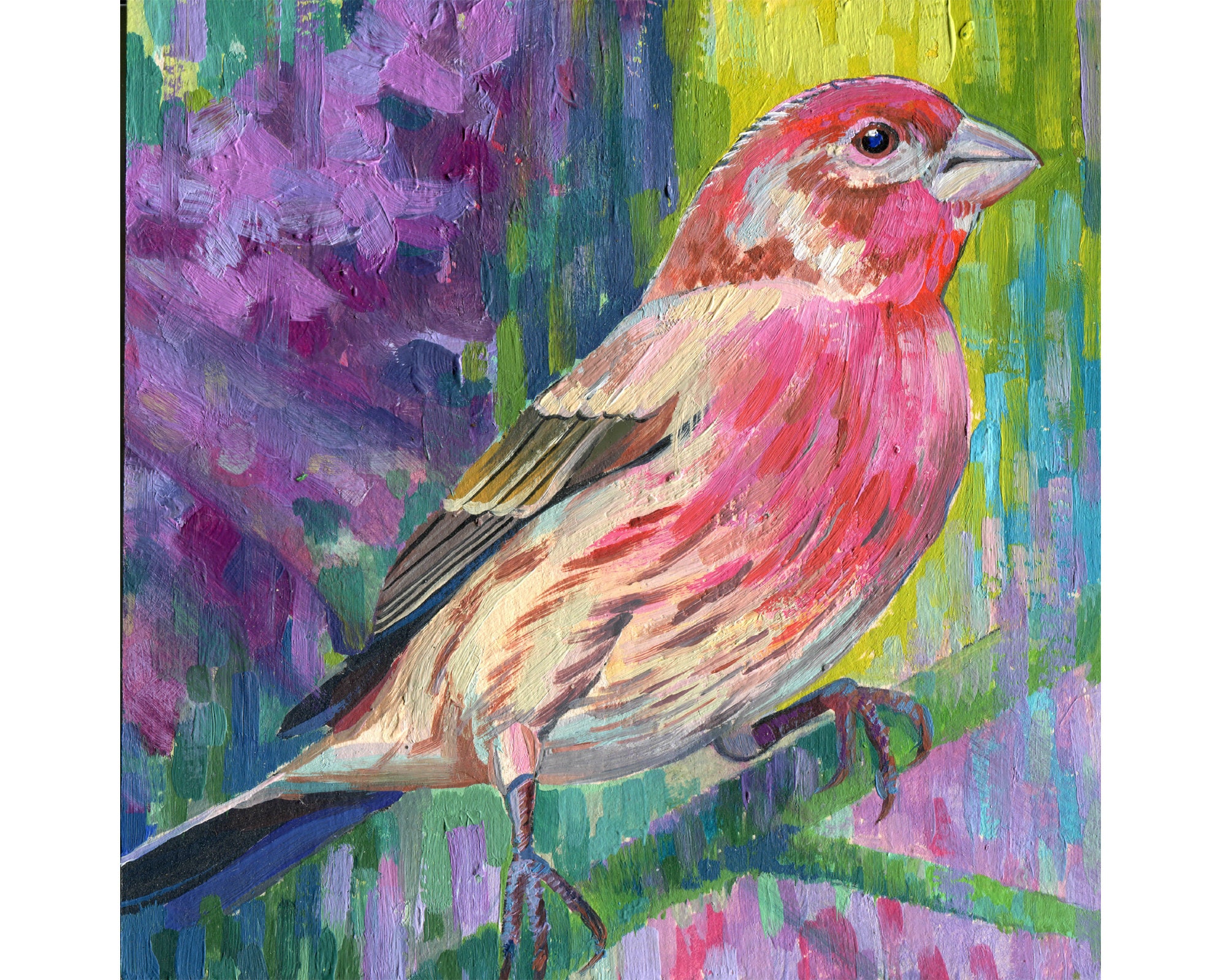 Purple Finch Original Oil Painting Purple Bird Art Small Etsy