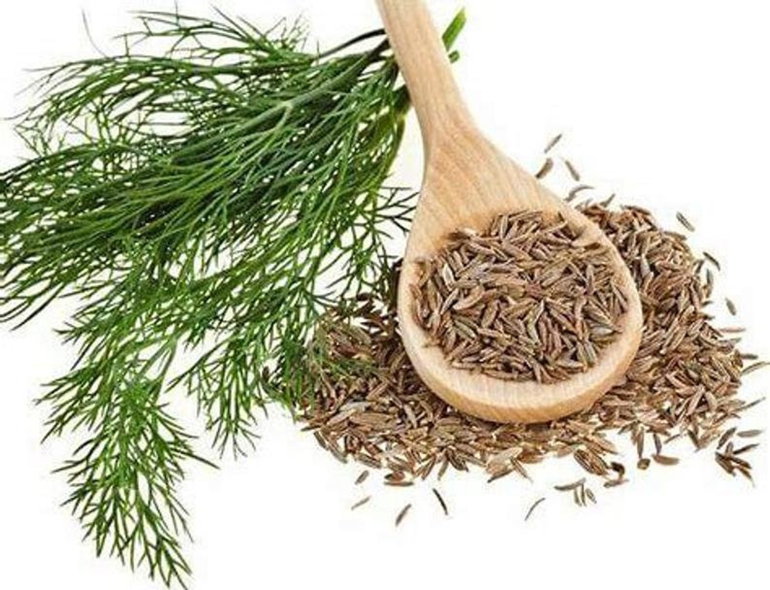 Cumin Spice Seasoning Food Grade Natural Herb Dried Etsy