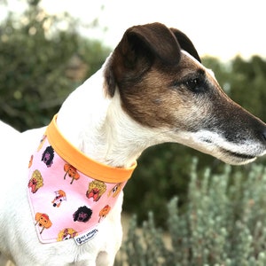 Rock Star Dog Bandana Reversible with Pearl Snaps | Bowie, Dolly Parton, Willie Nelson, Prince, Tina Turner