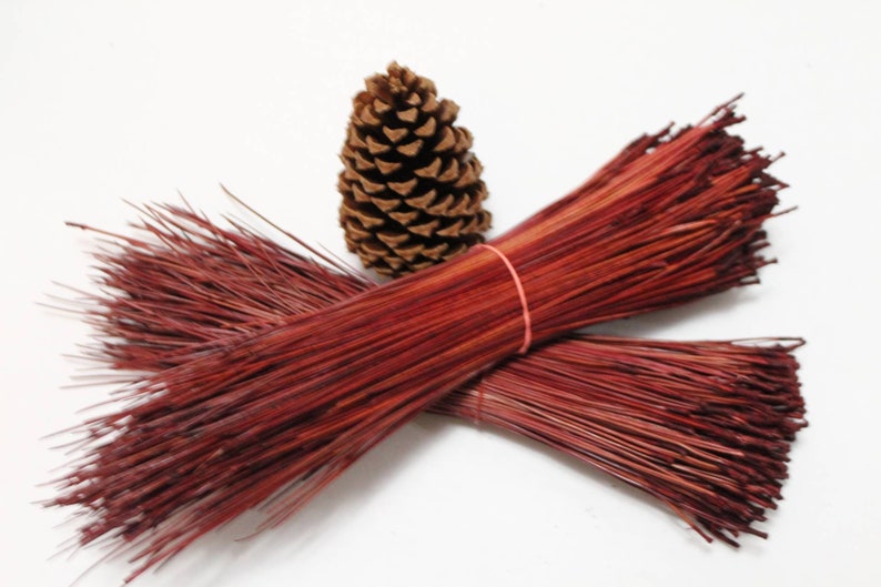 4 oz. Red Dyed Tx Longleaf Pine Needles Etsy