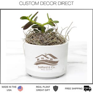 May include: A small succulent plant in a white ceramic pot. The pot features the "Salford & Co. REAL ESTATE" logo. The plant has green leaves and is surrounded by dried moss. The text "CUSTOM DECOR DIRECT" is at the top.