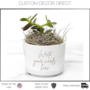 May include: White ceramic planter with a small jade plant and the text "Write your words here" in brown lettering.