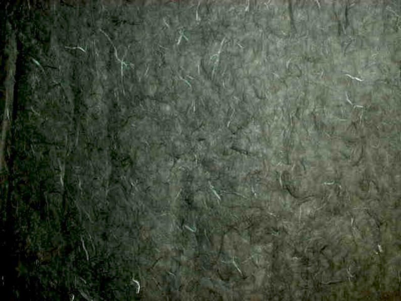 May include: A close-up of a textured, dark green surface with a pattern of thin, white lines. The surface has a rough, organic feel.