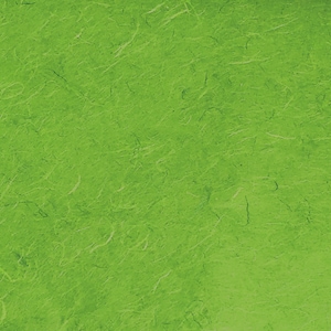 Paquet de 10 - Grandes feuilles de papier de soie UNRYU - Papier cadeau vert clair (24 x 35 po.), papier naturel, papier respectueux de l'environnement
