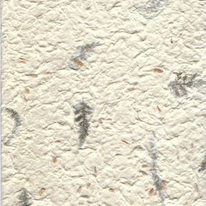 Papier fait main beige pour mûrier Vendu à la feuille - HM007 - papier décoratif ; respectueux de l'environnement ; journaux indésirables ; fabrication de cartes - 8,5 x 11 po.