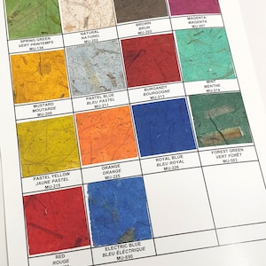 May include: A color chart with 12 different shades of paint. The colors are labeled in both English and French. The chart is divided into four rows and three columns. The colors are: Spring Green, Natural, Brown, Magenta, Mustard, Pastel Blue, Burgundy, Mint, Pastel Yellow, Orange, Royal Blue, Forest Green, Red, and Electric Blue.