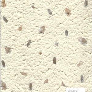 Papier fait main beige pour mûrier Vendu à la feuille - HM005 - papier décoratif ; respectueux de l'environnement ; journaux indésirables ; fabrication de cartes - 8,5 x 11 po.