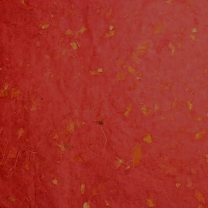 Papier de soie feuille de manguier - Bordeaux MMRD09 - Paquet de 20 feuilles - Emballage cadeau, papier naturel, papier respectueux de l'environnement