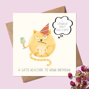 Cartão de aniversário engraçado, Cartão de aniversário de gato - Cartão de aniversário com gatos - A reação de um gato ao seu aniversário - Eu literalmente não dou a mínima! - Cartão grosseiro