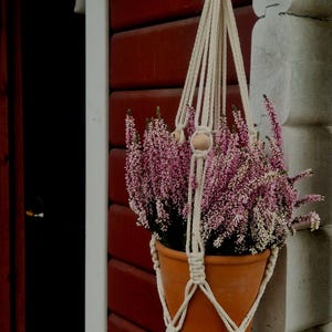 Pode incluir: Um vaso de flores cor de terracota cheio de plantas com flores rosas, suspenso em um suporte de macramê creme. O suporte de plantas está preso a um gancho de metal escuro em uma parede de madeira vermelha. O vaso de flores tem cerca de 15 cm de diâmetro.