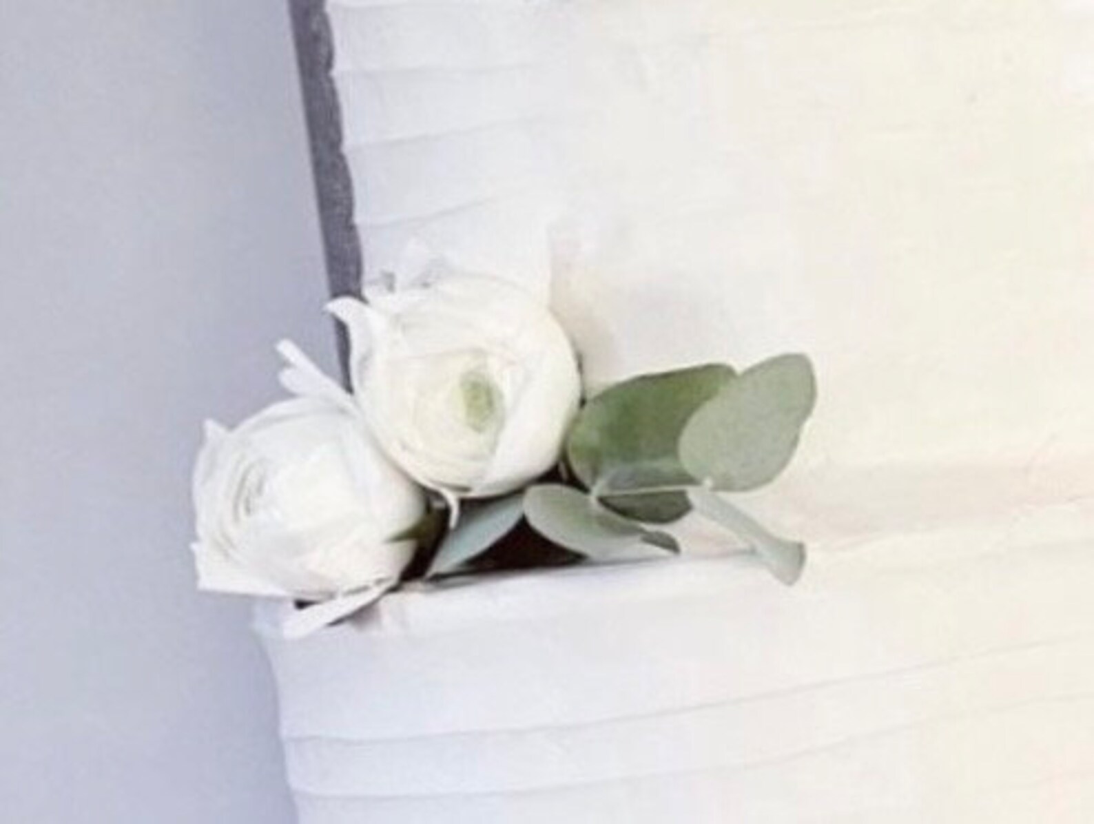 Preserved White Ranunculus Mini Artificial White Ranunculus Rose Preserved Real Eucalyptus Cake ...