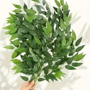 Artificial Lifelike Italian Ruscus Greenery Stems for Home Decor and Arrangement
