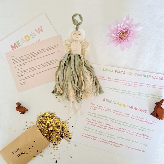 Fairy gift set with personalised letter, wildflower seeds and fact sheet | Children's home accessories | Nature themed gifts