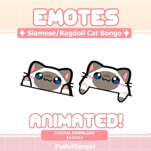May include: Digital download graphic featuring two animated Siamese/Ragdoll cat bongo emotes. The emotes are white with brown and black accents, blue eyes, and pink cheeks. The word "EMOTES" is at the top, and "ANIMATED!" is at the bottom.
