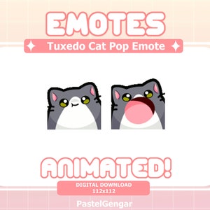 Animated Tuxedo Cat Pop Emote for Twitch Streamers, Discord, Youtube. Kick | Cute, Kawaii | Instant Download