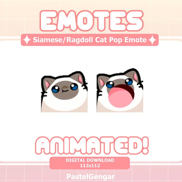 Animated Siamese/Ragdoll Cat Pop Emote for Twitch Streamers, Discord, Youtube. Kick | Cute, Kawaii | Instant Download