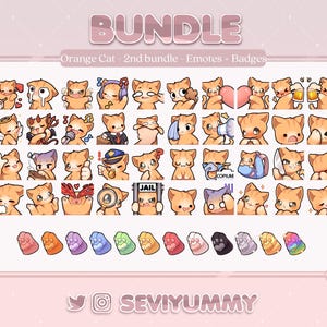 2° pacchetto Orange Cat - 40 emote e 12 badge sub (Twitch/Discord)