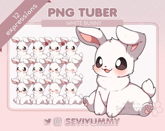 Cute Bunny PNGTuber Model | 12 Expressions (Twitch, YouTube)