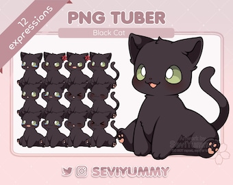 Cute Black Cat PNGTuber Model | 12 Expressions (PNG Avatar)