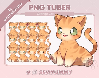 Cute Orange Cat PNGTuber Model | 12 Expressions, Twitch Stream Asset