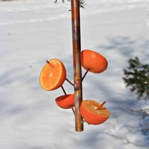 Copper Citrus Bird Feeder