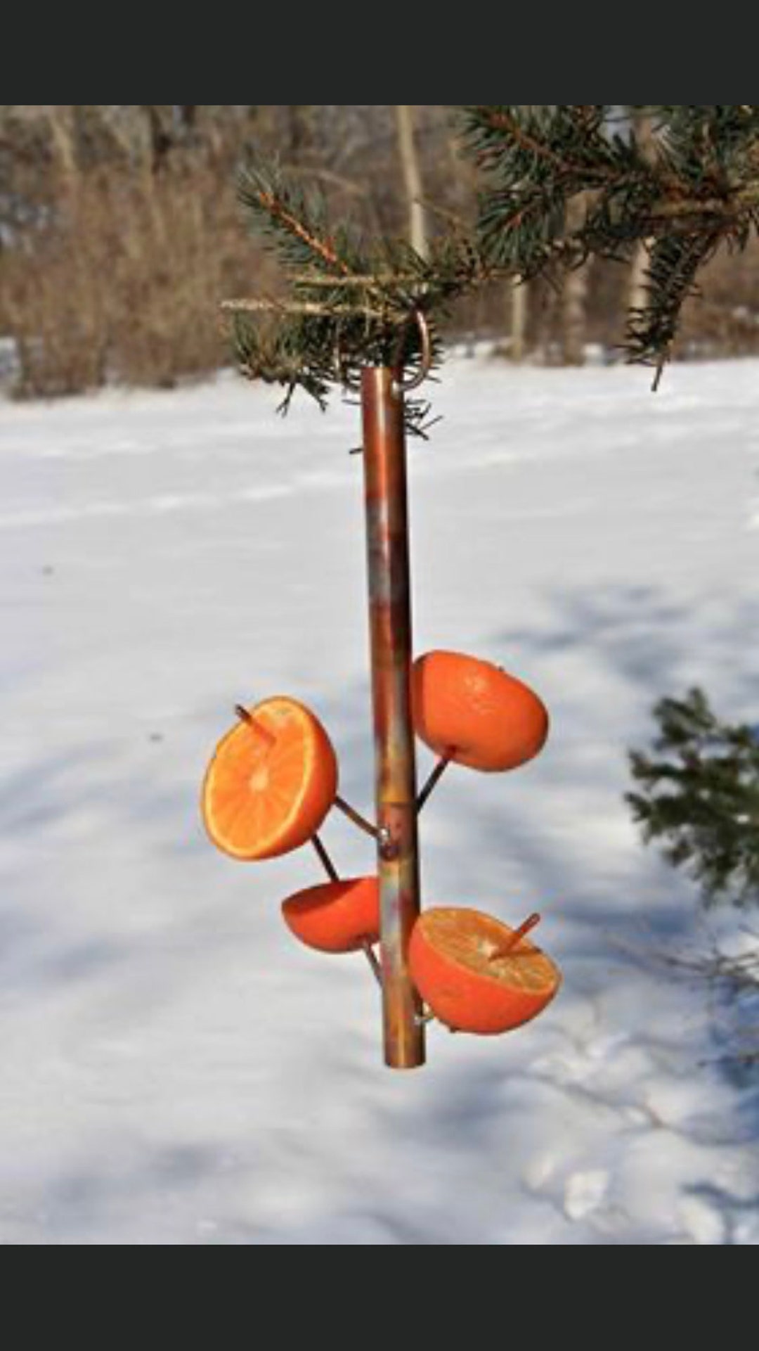 Citrus Bird Feeder Etsy