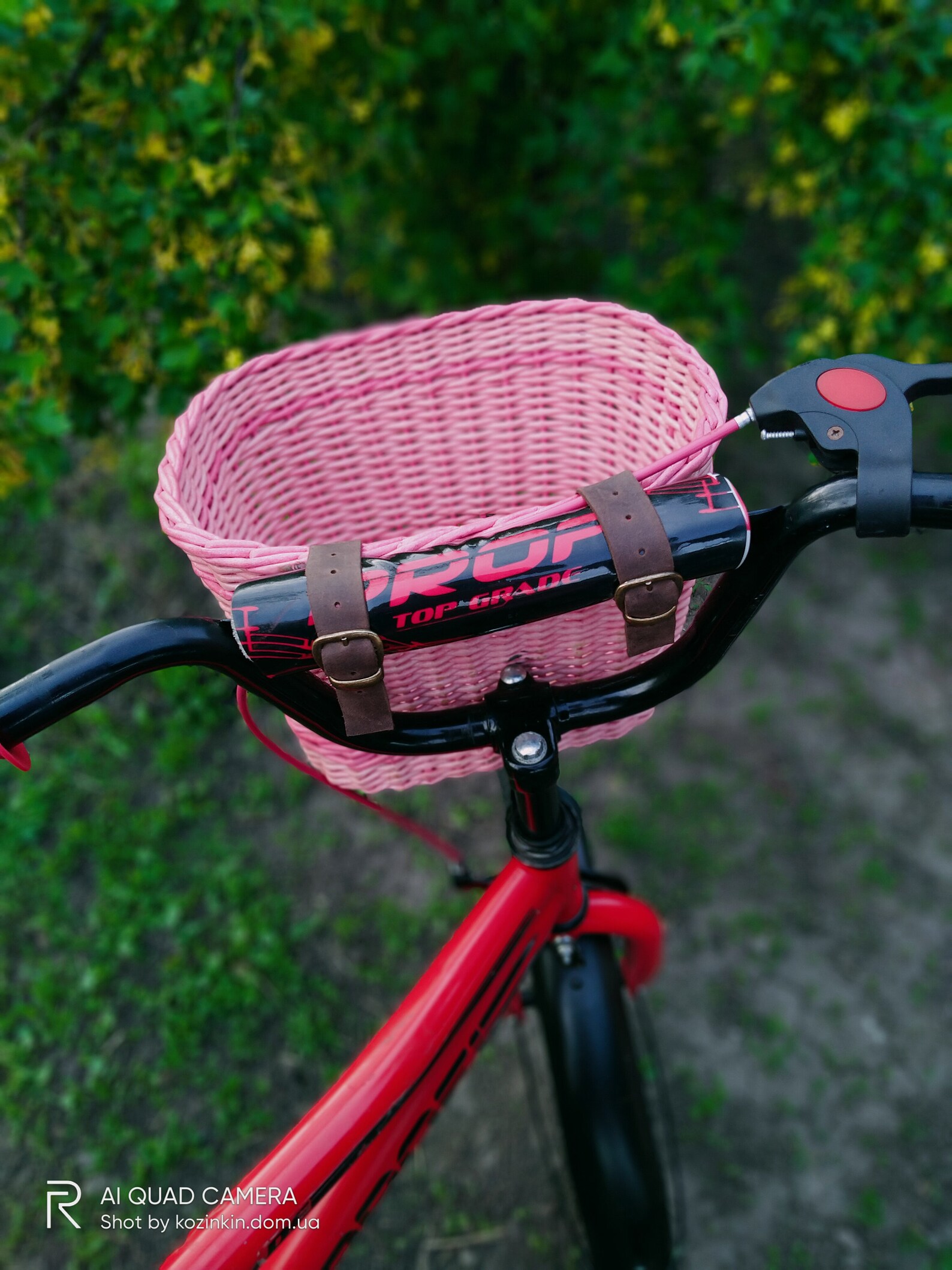 Cesta de bicicleta para una niña cesta de bicicleta brillante Etsy Cesta de bicicleta para una niña cesta de bicicleta brillante Etsy