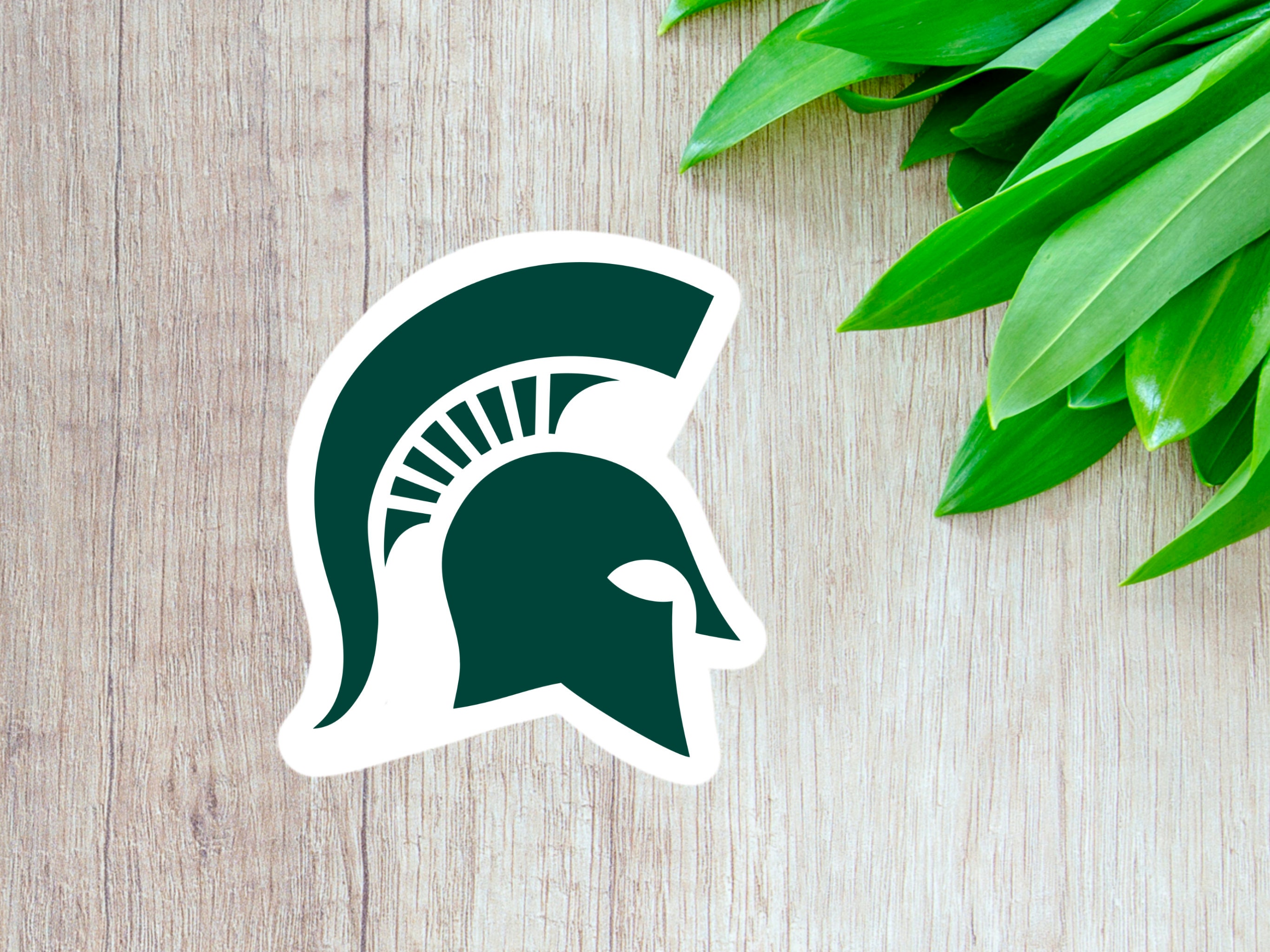 Msu Mascot Etsy