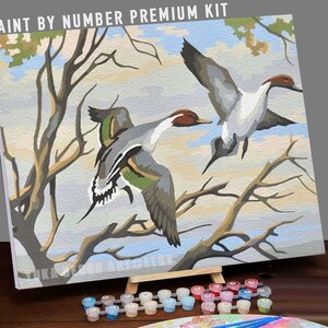 Flying Birds PAINT by NUMBER DIY Kit Adult Vintage Style , Mallard Birds In Lake  , Easy Beginner Acrylic Painting,Home Decor Gift