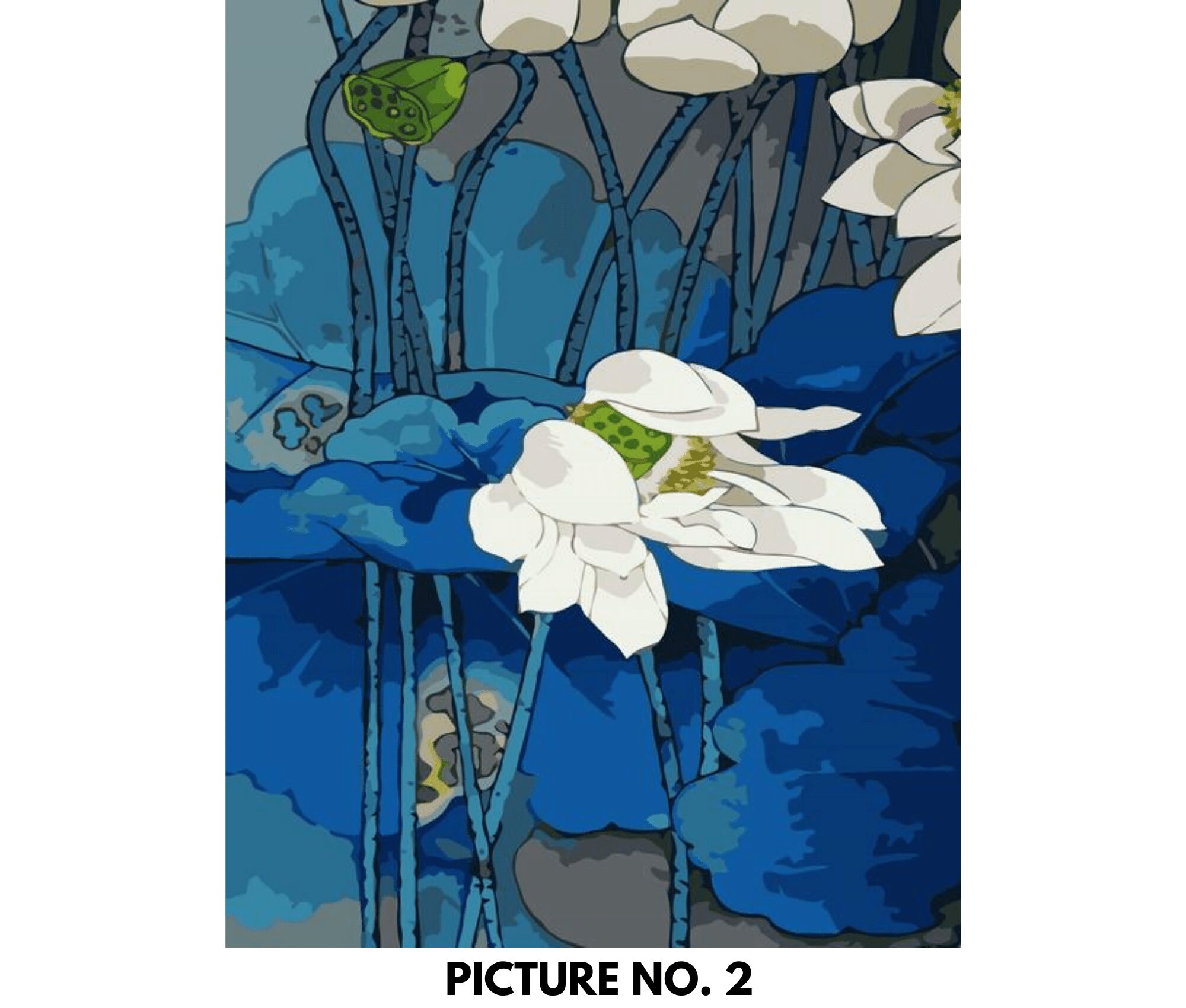 Orca Paint by Numbers Adults Acrylic Painting Kit With Stretcher DIY , Paint By Numbers Kit For